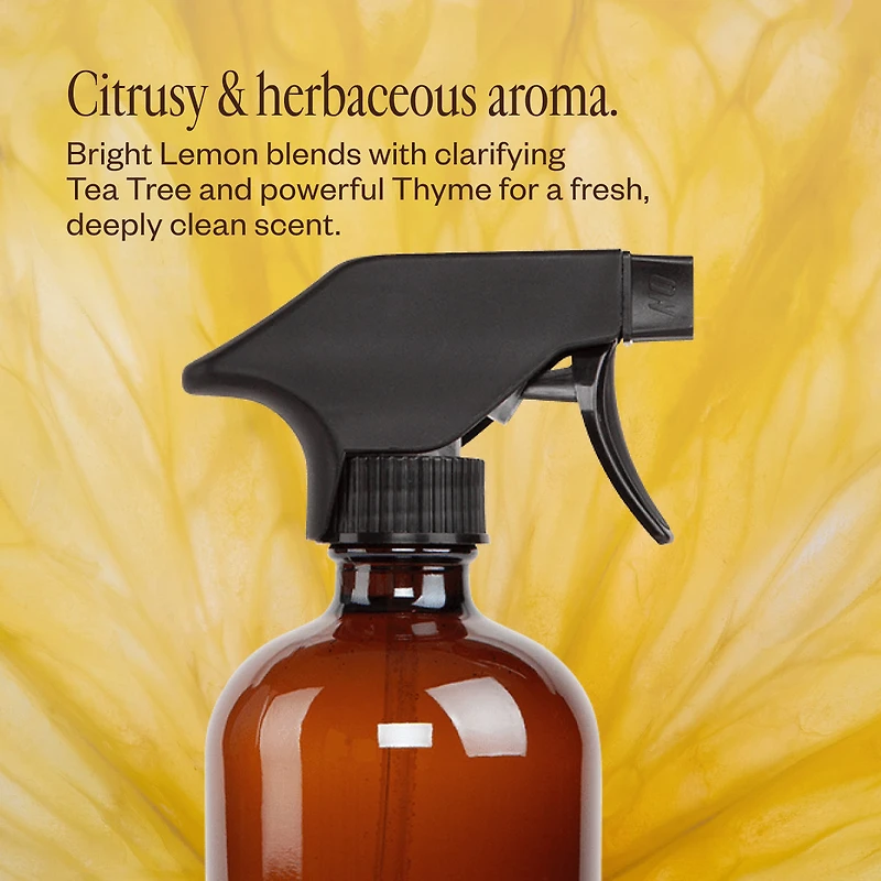 Home Cleaning Starter Kit