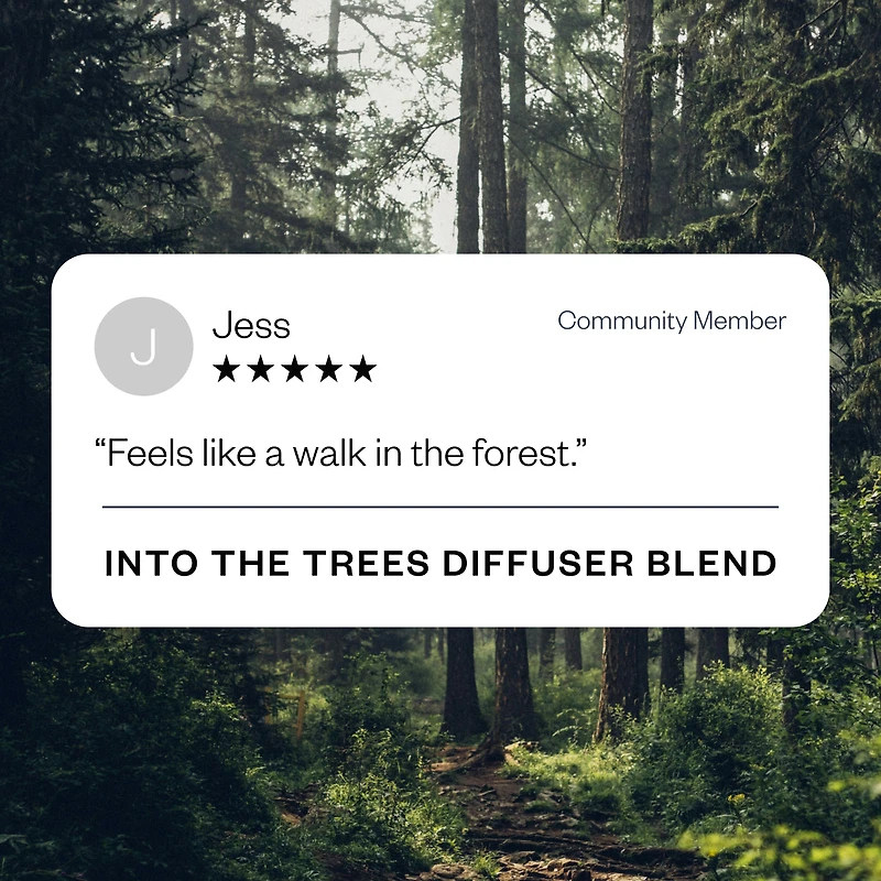 Into the Trees