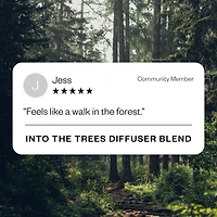Into the Trees