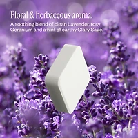 Lavender Haze