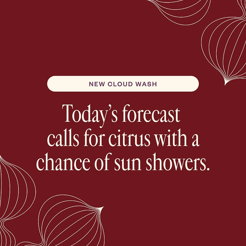 Liquid Sunshine Cloud Wash