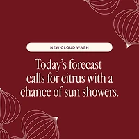 Liquid Sunshine Cloud Wash