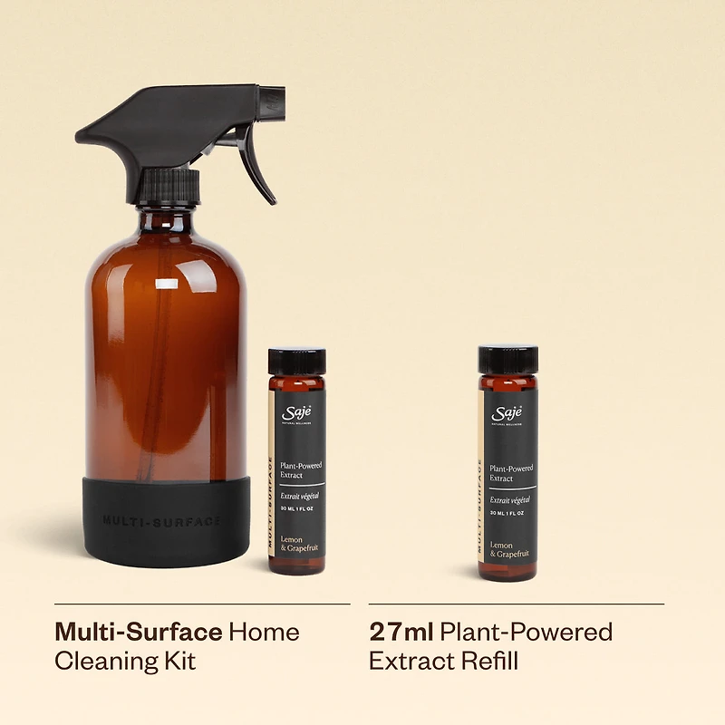 Multi-Surface Cleaning Kit
