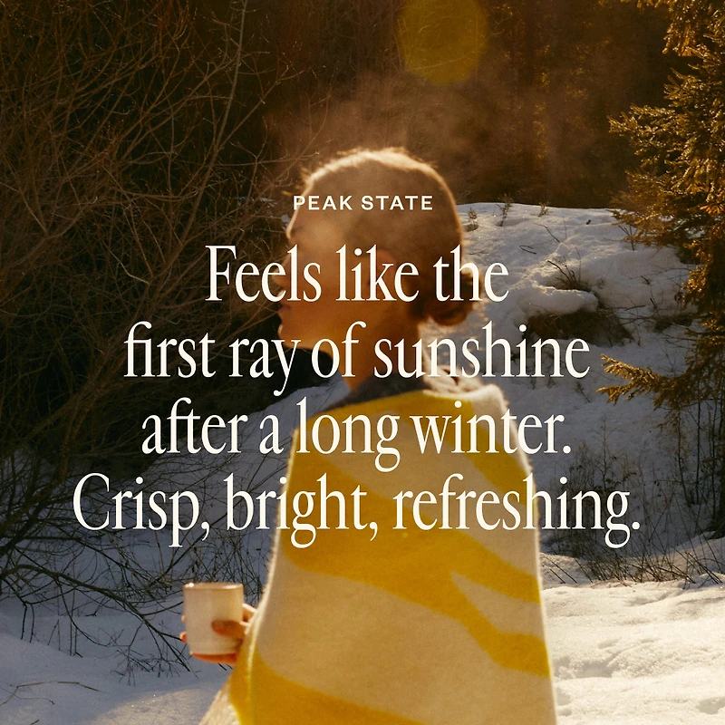 Shift Into Spring Duo