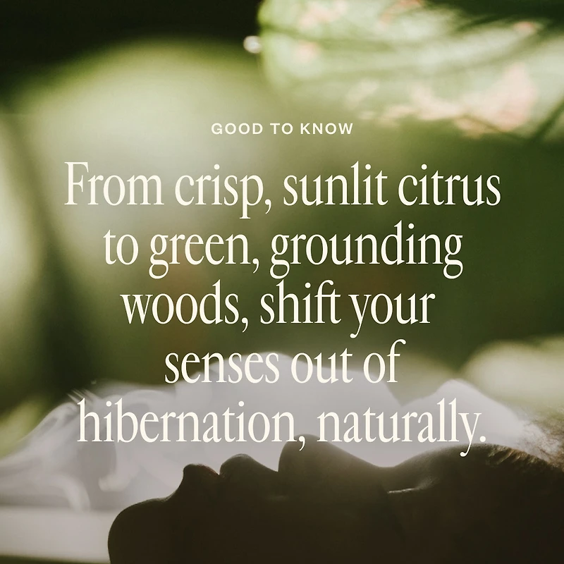 Shift Into Spring Duo