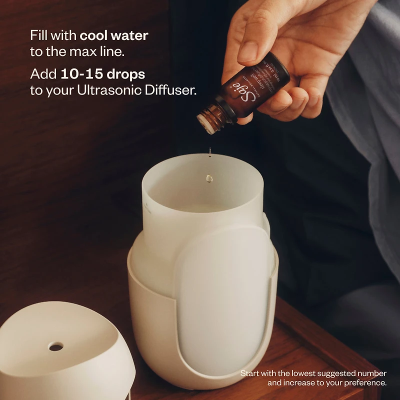 The Sweet Dreams Trio