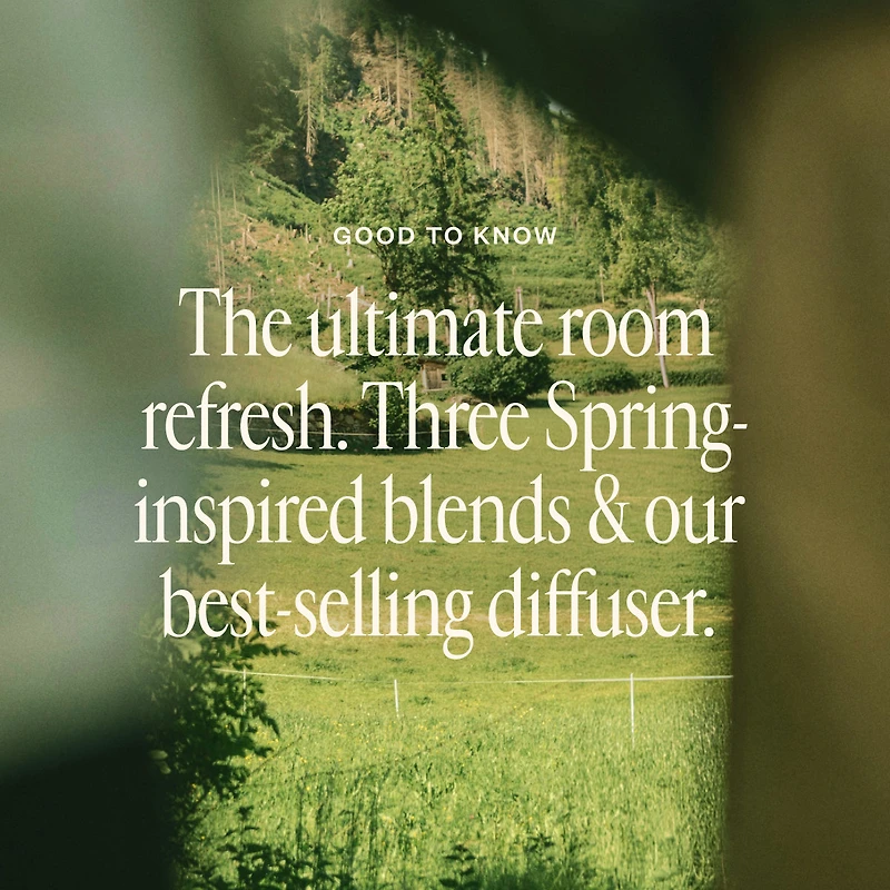 Spring Refresh Diffuser Bundle