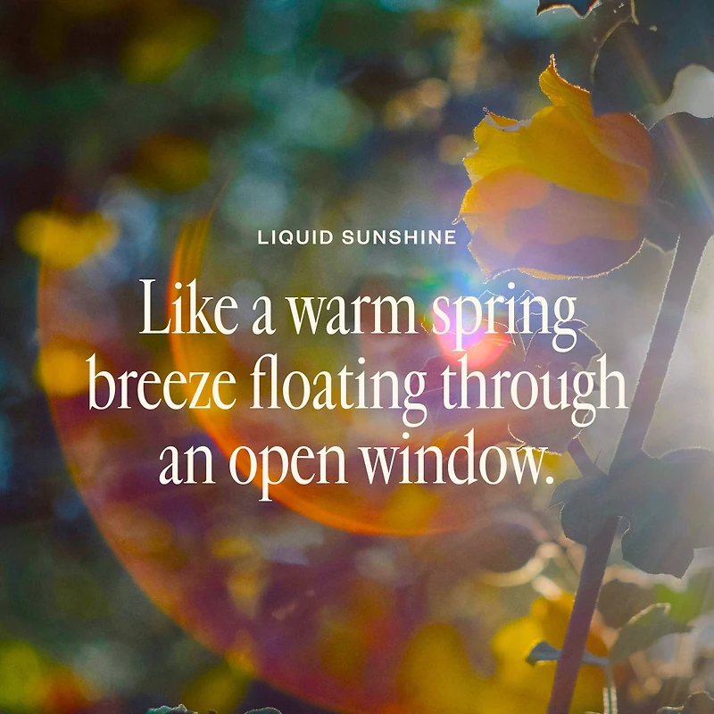 Spring Refresh Diffuser Bundle