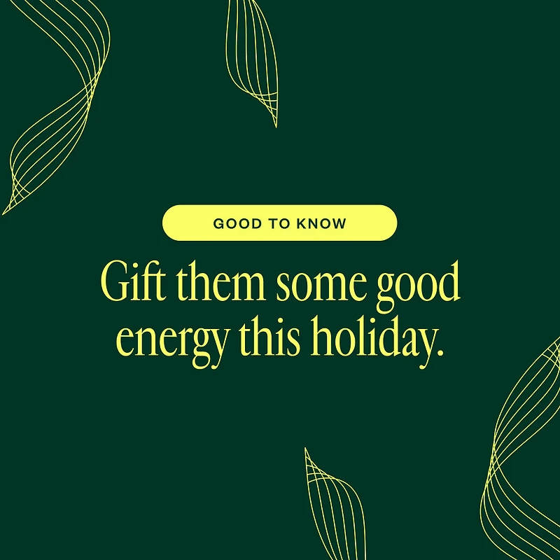 The Power Up Wellness Kit