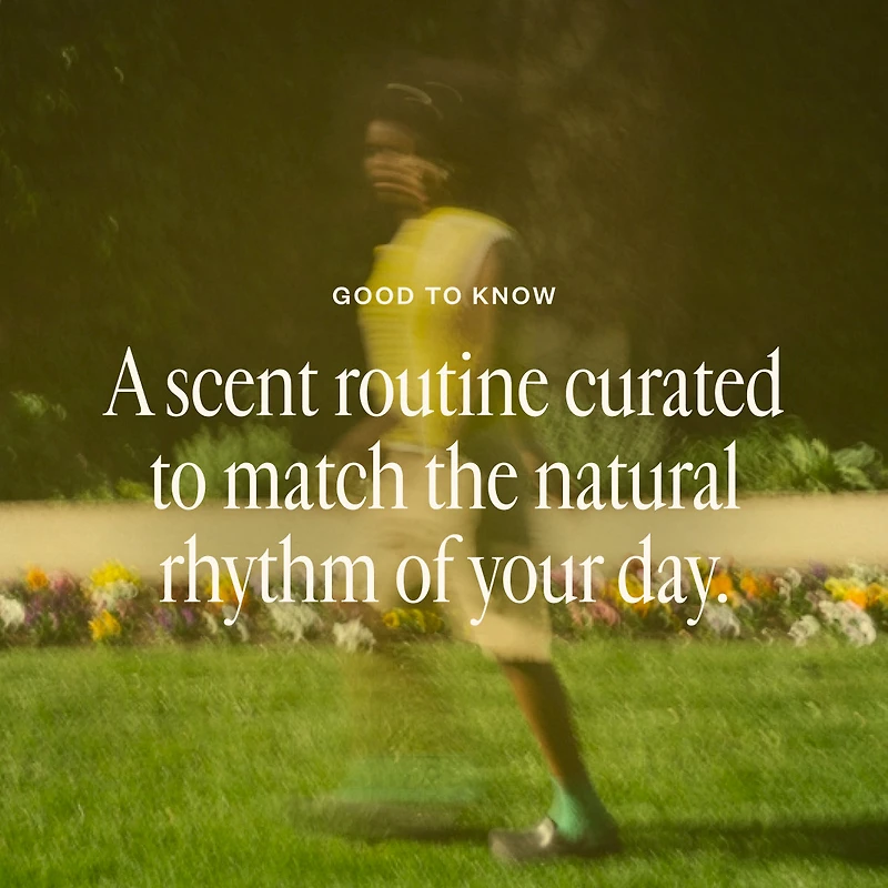 The Day to Night Trio