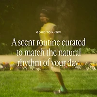 The Day to Night Trio