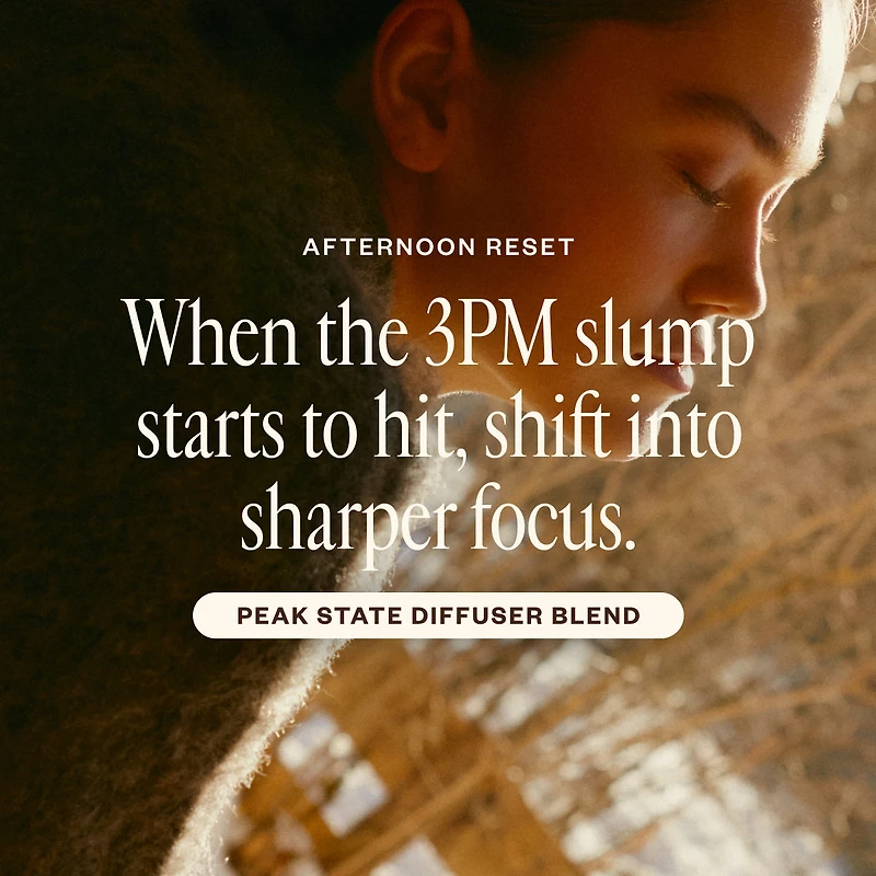 The Day to Night Trio