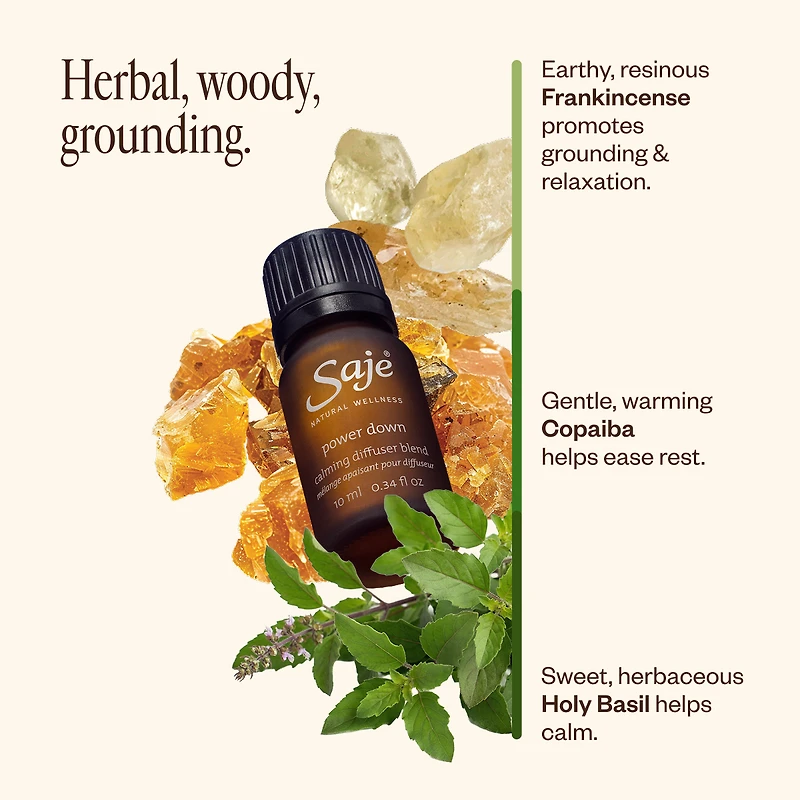 The Day to Night Trio