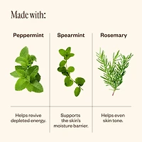 Tingle Mint Cloud Wash