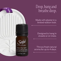 Secret Scenter: After the Rain