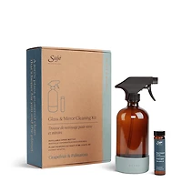 Glass and Mirror Cleaning Kit