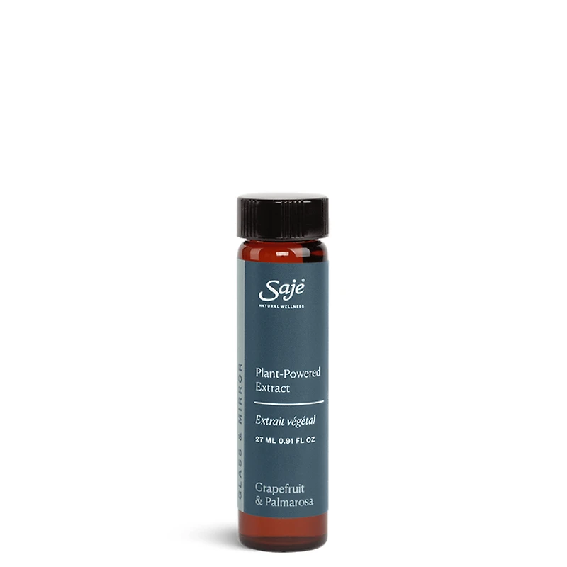 Glass and Mirror Cleaning Refill