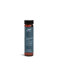 Glass and Mirror Cleaning Refill