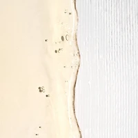 Gel de contrôle des frisottis Acides aminés de riz + quinoa Curl Charisma™