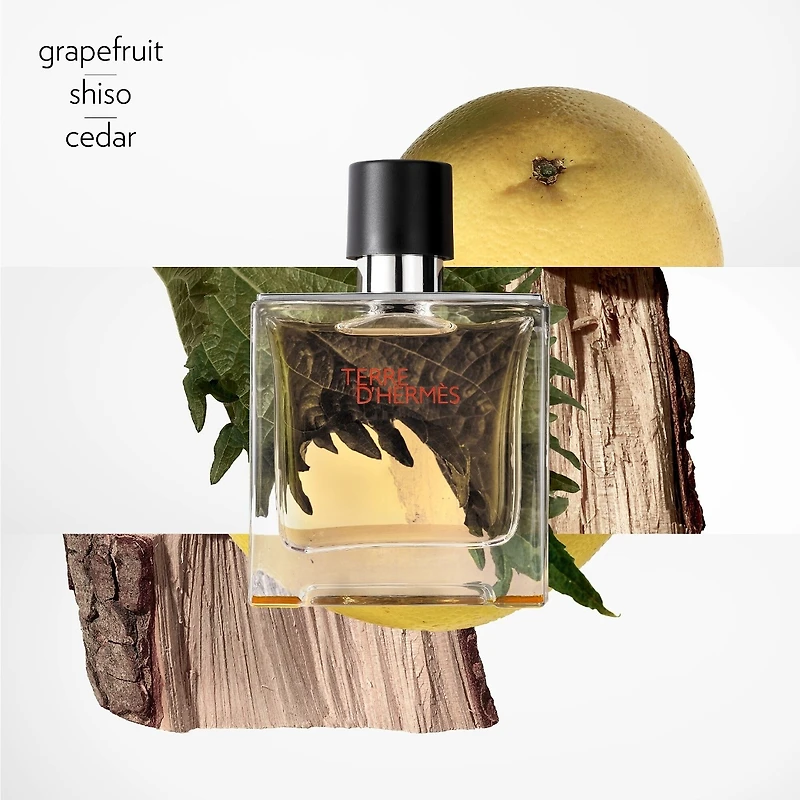Parfum Terre d’Hermès