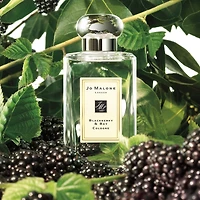 Eau de Cologne Mûre et laurier