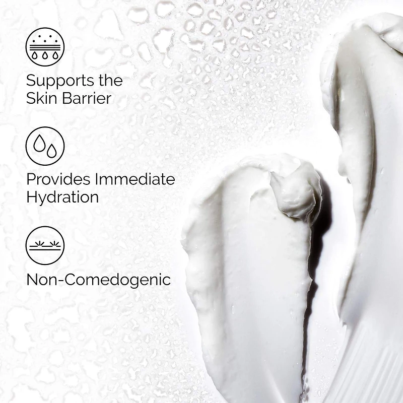 Facteurs naturels d’hydratation+ hydratant quotidien HA
