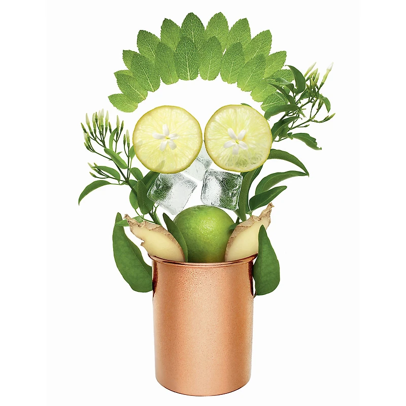 Eau de parfum Moscow Mule