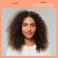 No Frizz® Instant De-Frizzer