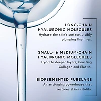 Hyaluronic Serum — High‑Potency Acid for Deep Moisture, Plumping & Anti‑Aging