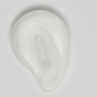 Bakuchiol Retinol Alternative Moisturizer