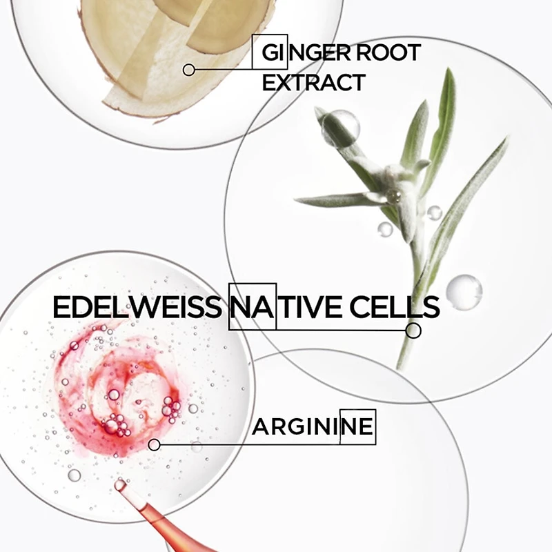 Genesis Strengthening Shampoo for Normal to Oily Hair