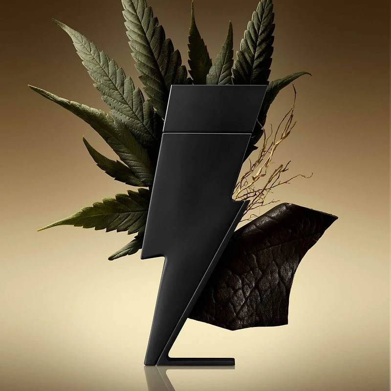 Le parfum Bad Boy