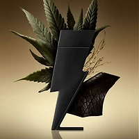 Le parfum Bad Boy