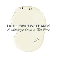 Gel nettoyant quotidien AHA/BHA Alpha Beta®