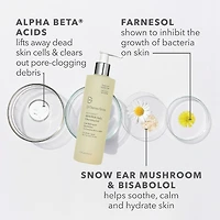 Gel nettoyant quotidien AHA/BHA Alpha Beta®