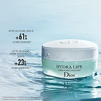 Hydra Life Fresh Sorbet Crème Moisturizer