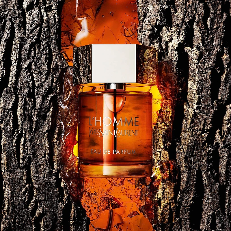 Eau de parfum L’Homme avec des notes de bois de chêne et d’orange
