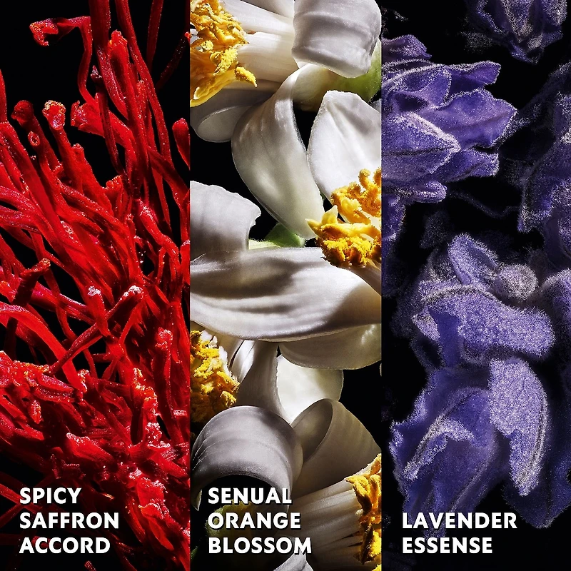 Parfum Libre avec des notes de fleur d’oranger et safran