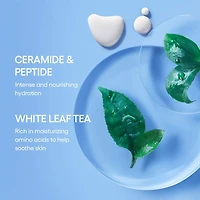 Minicrème tonifiante et hydratante rechargeable pour la peau avec céramides et peptides