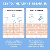 Mini Cream Skin Milky Toner Mist with Ceramides and Peptides  
