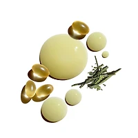 Sérum anti-âge pour le visage