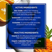 Oil-Free Sun Guard Sunscreen Water Resistant SPF 45