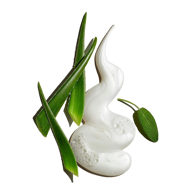 Pure Clean Daily Facial Cleanser