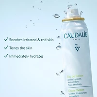Brume hydratante pour le visage Eau de raisin