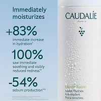 Brume hydratante pour le visage Eau de raisin