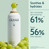Brume hydratante pour le visage Eau de raisin