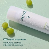 Brume hydratante pour le visage Eau de raisin