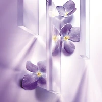 Crème de soin de nuit tonifiante Multi-Action Rénergie
