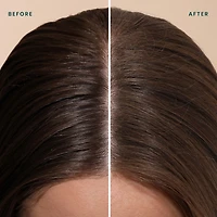 Detox Dry Shampoo