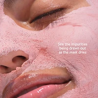 Pore Minimizing Instant Detox Mask